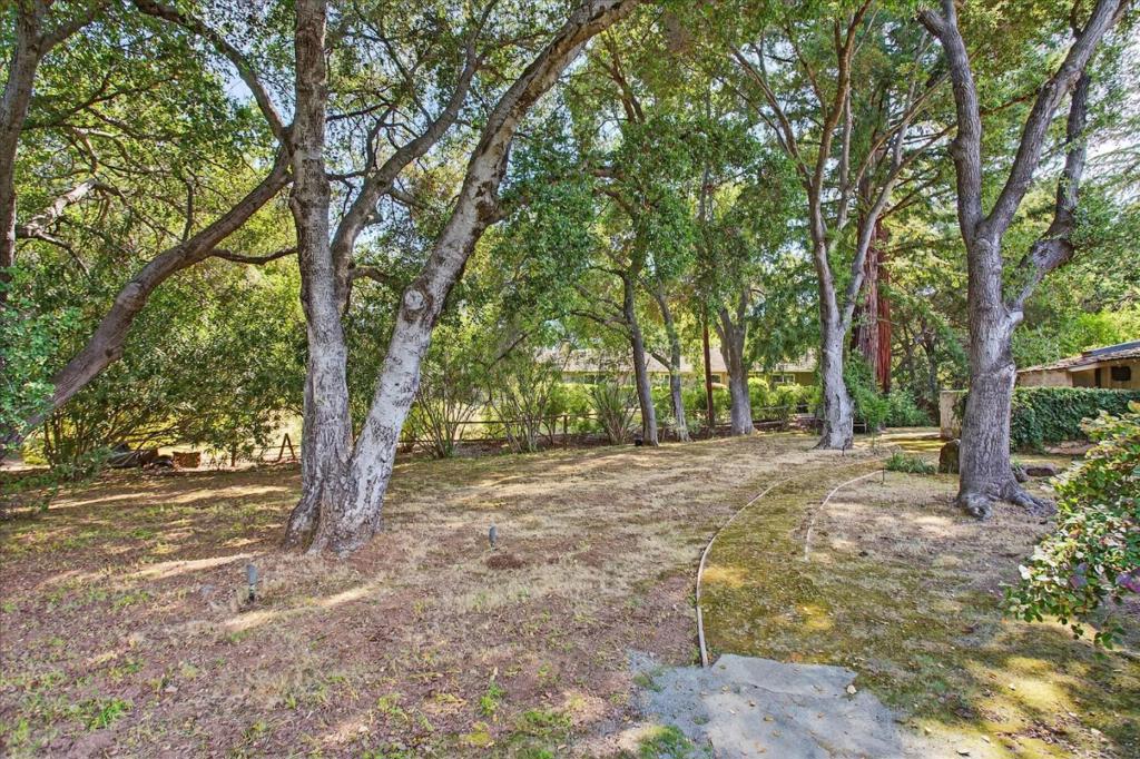 MLS #ML82040914 image #39