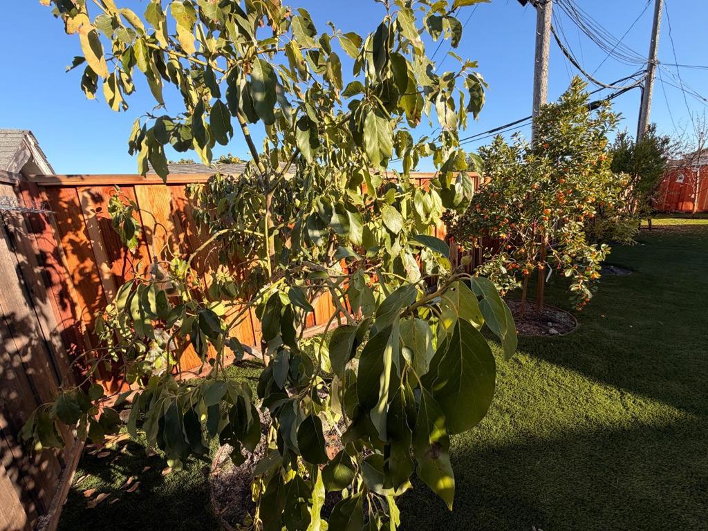 MLS #ML82041475 image #24