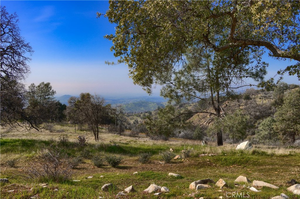 MLS #MP25178149 image #52