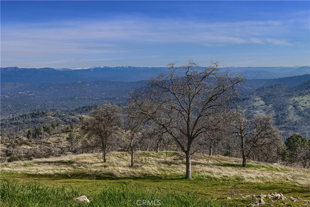 MLS #MP25178149 image #57