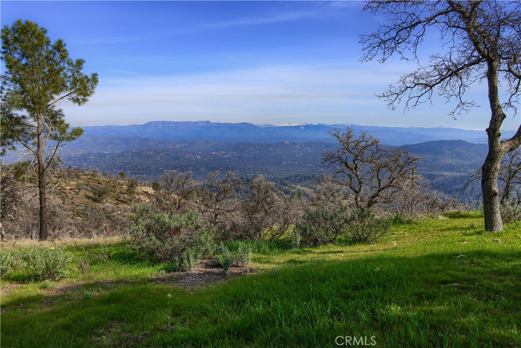 MLS #MP25178149 image #58