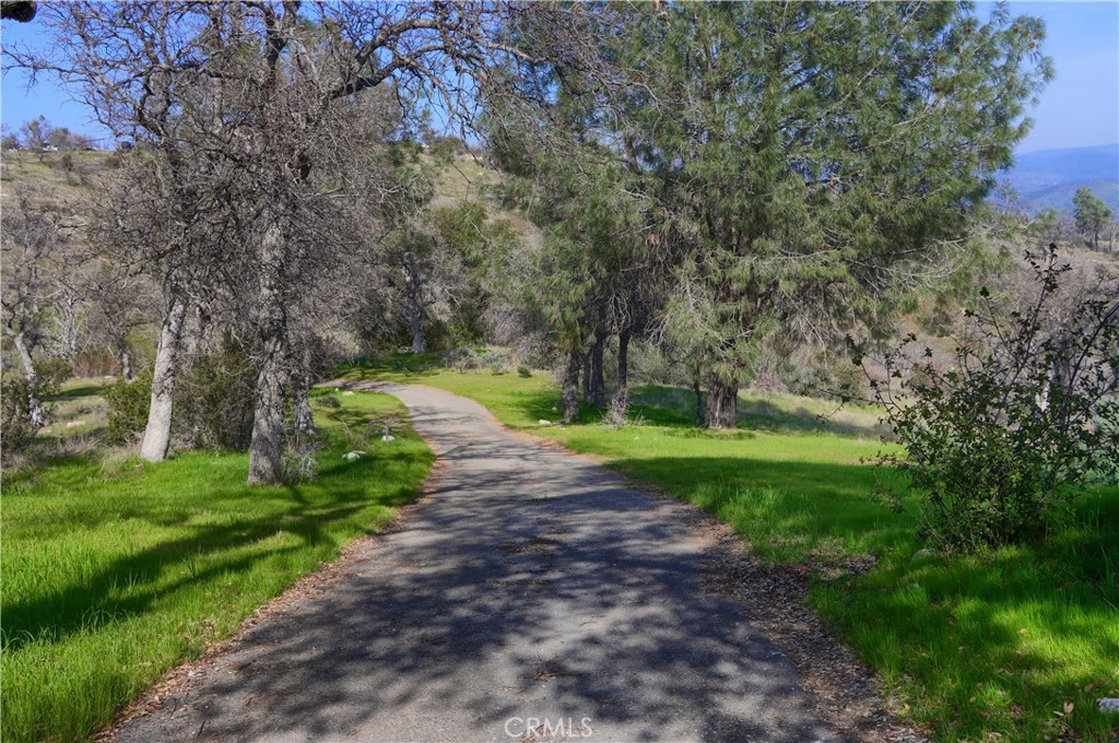 MLS #MP25178149 image #59