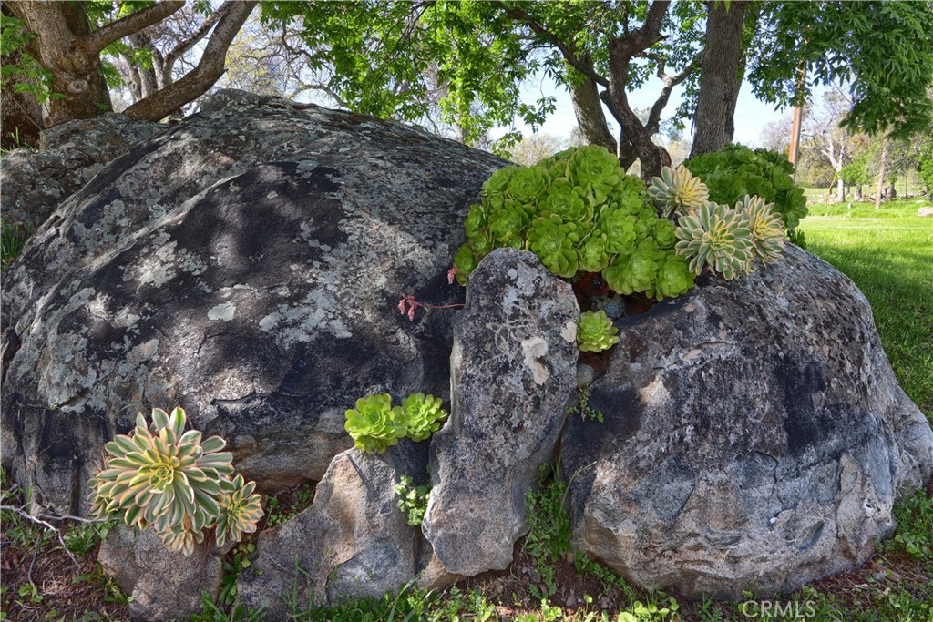 MLS #MP26037741 image #38