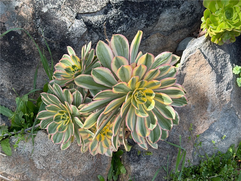 MLS #MP26037741 image #39