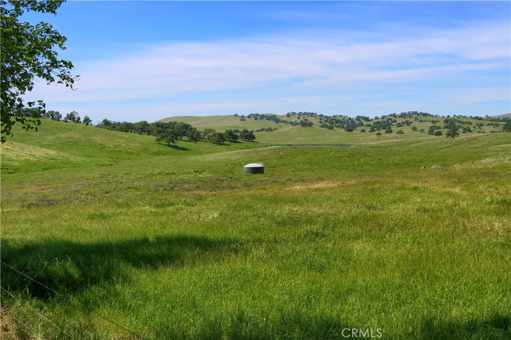 MLS #MP26052434 image #52