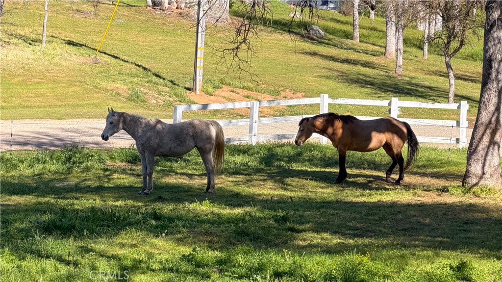 MLS #MP26056119 image #67