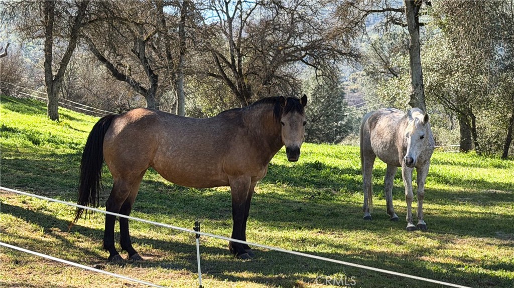 MLS #MP26056119 image #70