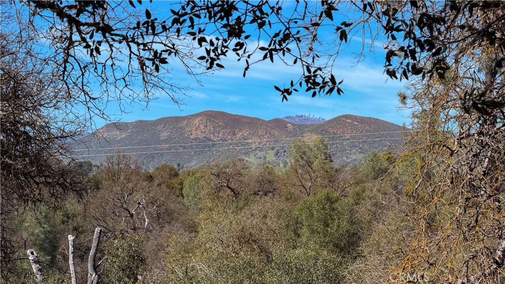 MLS #MP26056119 image #74