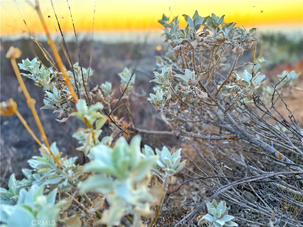 MLS #ND25234882 image #17