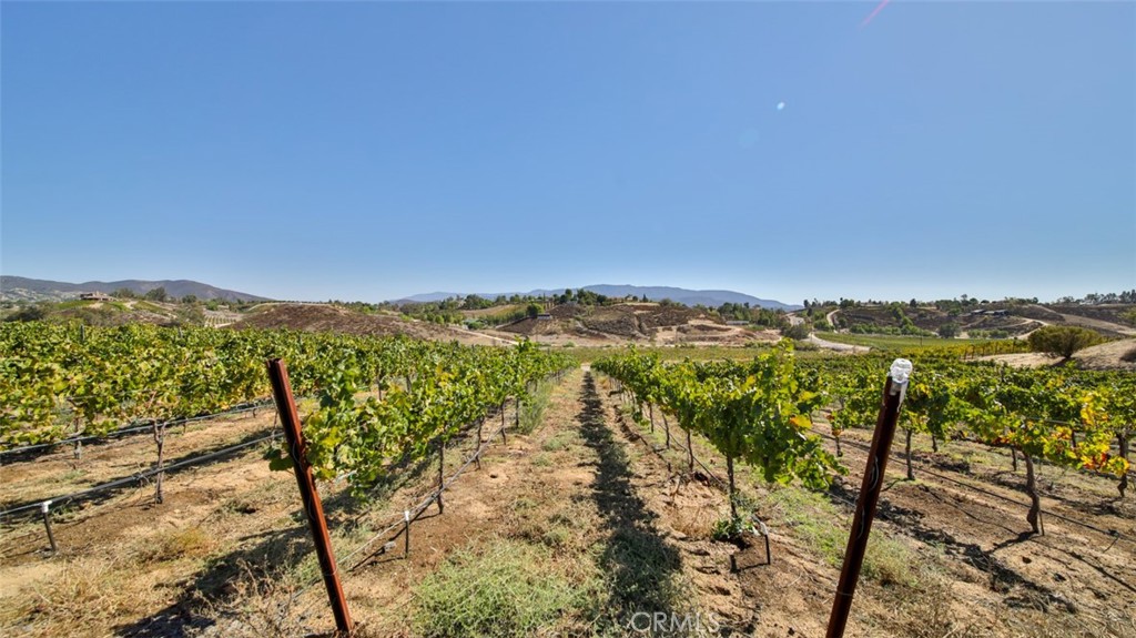 MLS #ND26063010 image #15