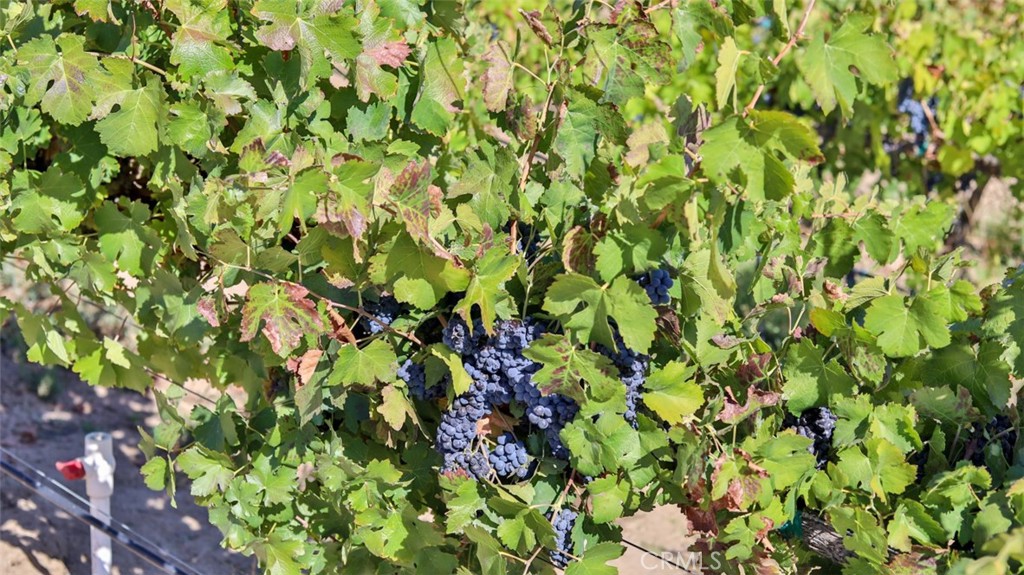 MLS #ND26063010 image #7