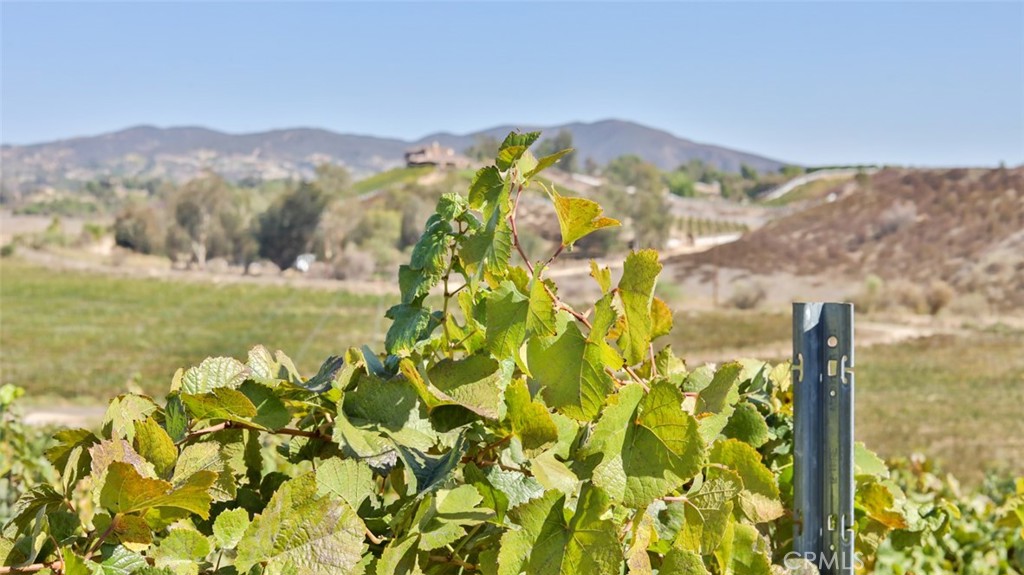 MLS #ND26063010 image #9