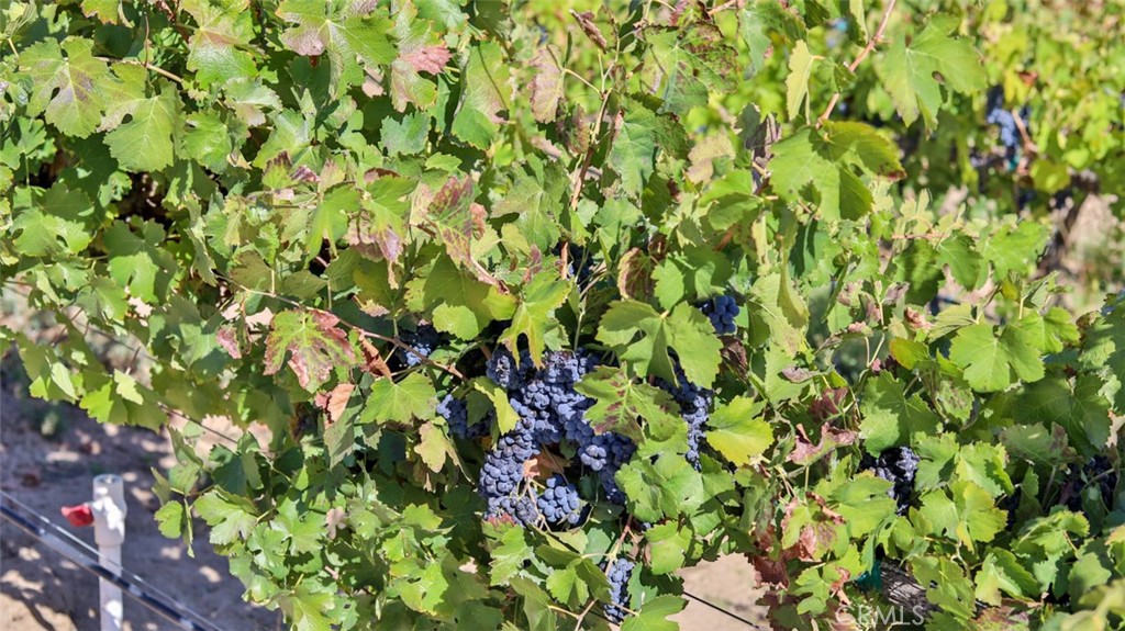 MLS #ND26063050 image #27