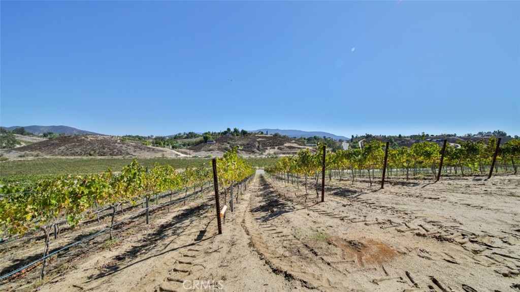 MLS #ND26063050 image #28