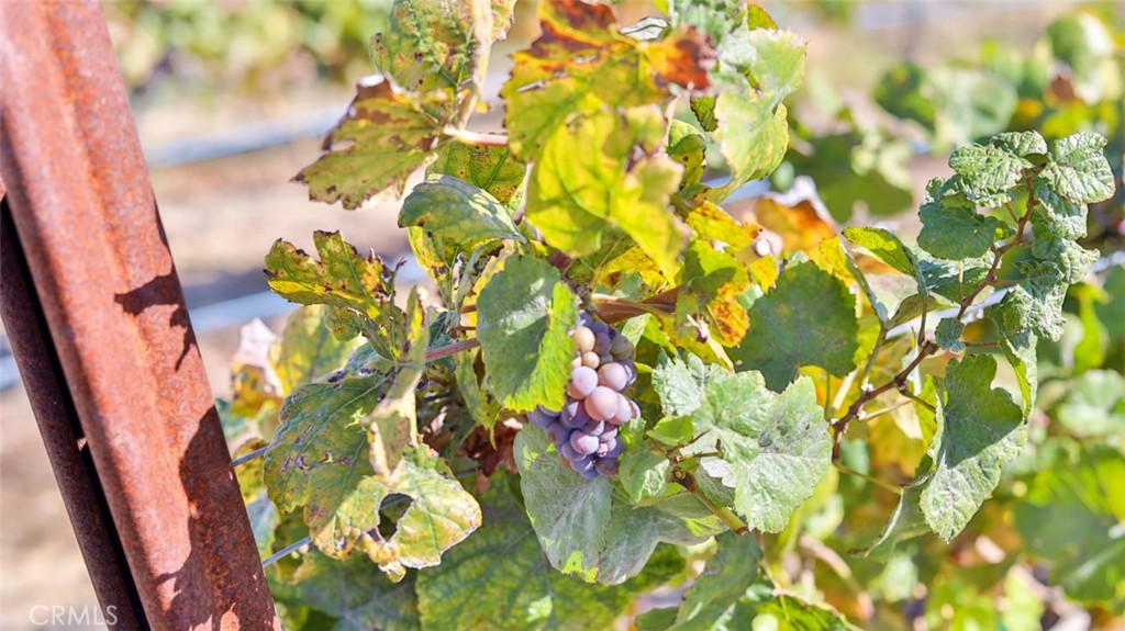 MLS #ND26063050 image #31