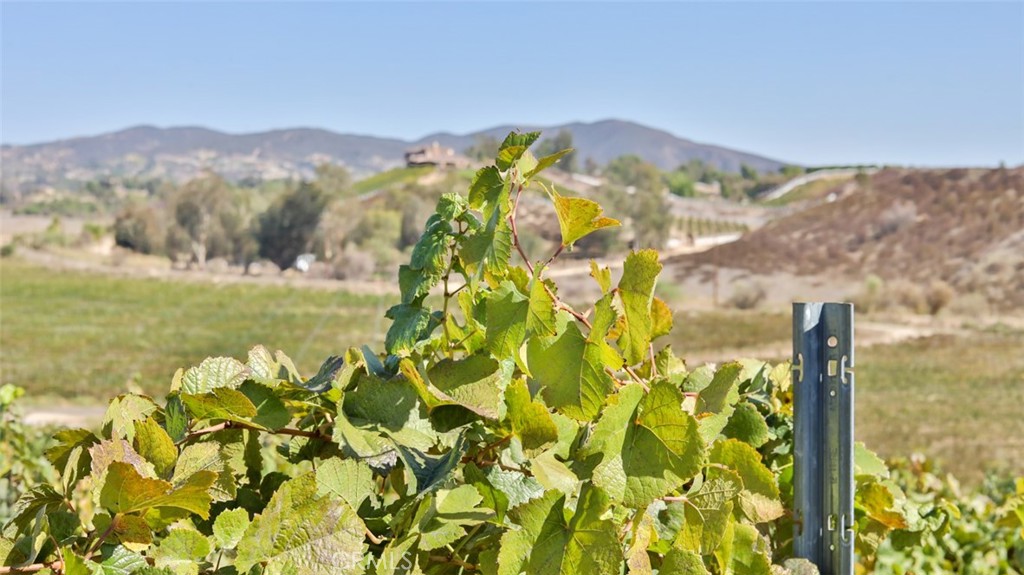 MLS #ND26063050 image #32