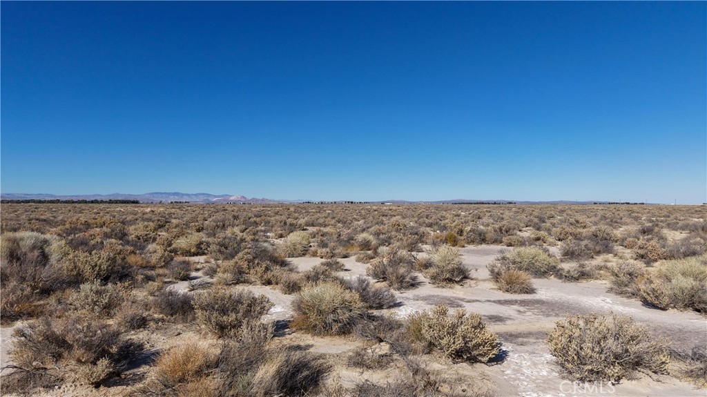 MLS #ND26068157 image #4