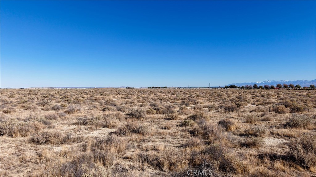 MLS #ND26068181 image #4