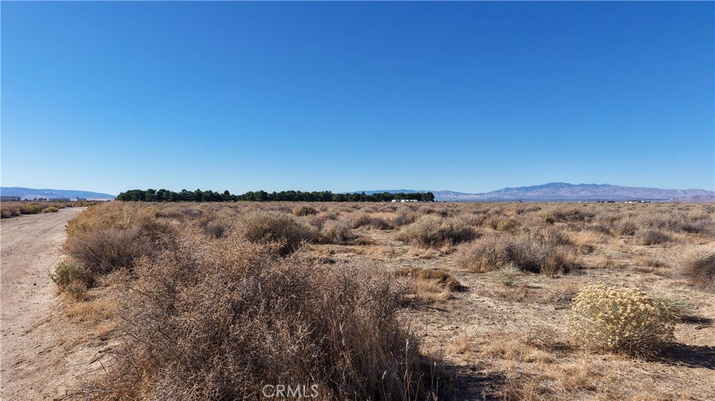 MLS #ND26068197 image #3