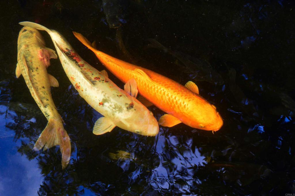 MLS #NDP2504936 image #39