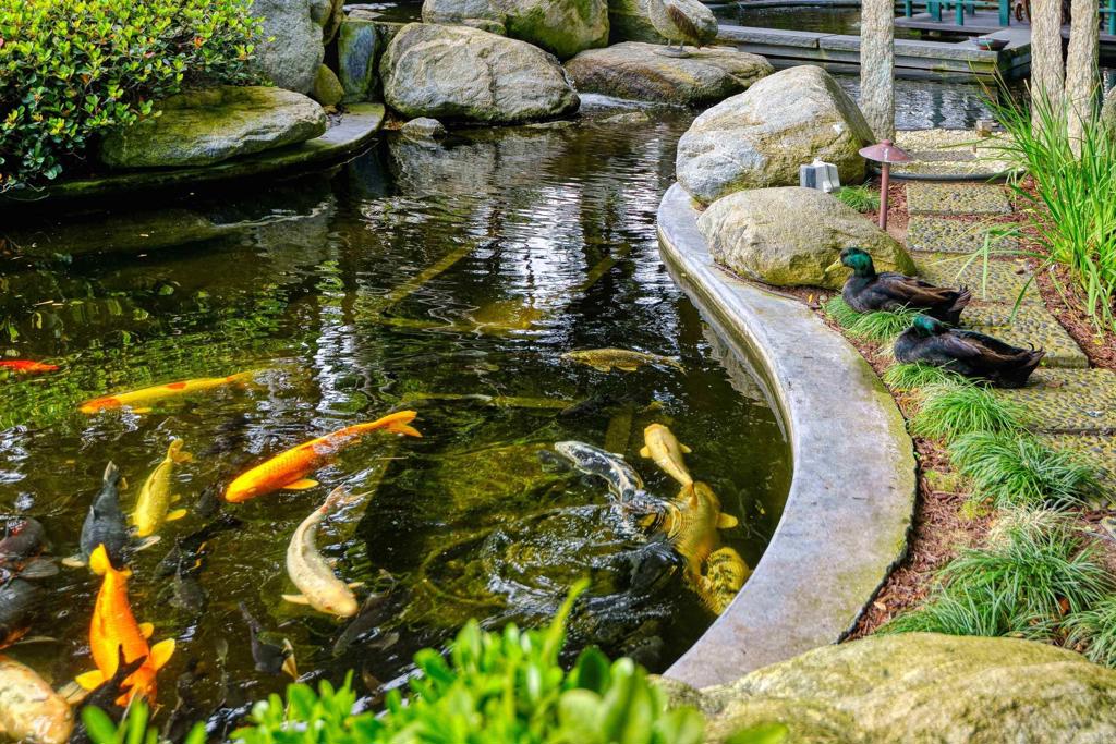 MLS #NDP2504936 image #5