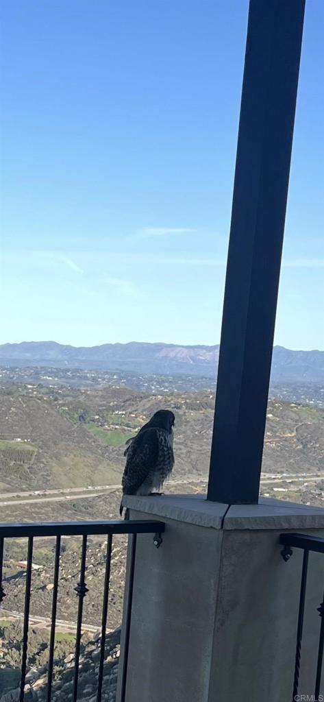 MLS #NDP2600185 image #33