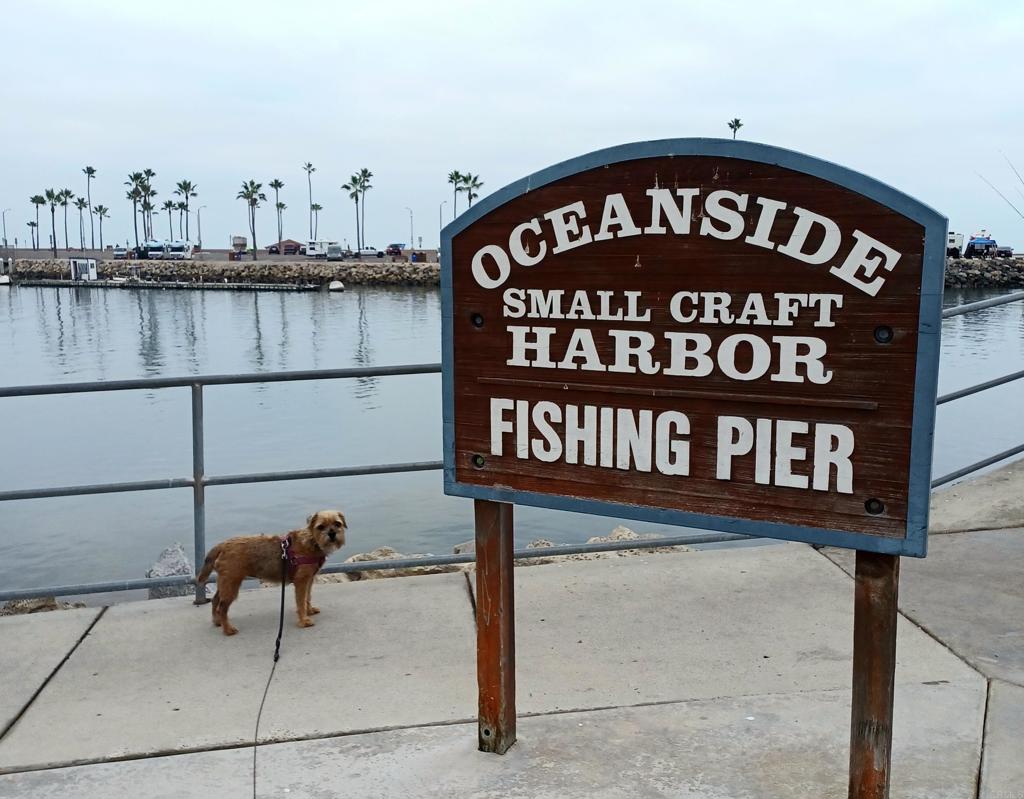 MLS #NDP2601702 image #24