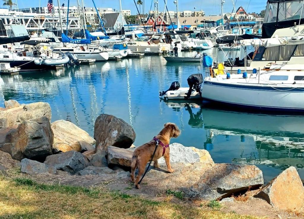 MLS #NDP2601702 image #41