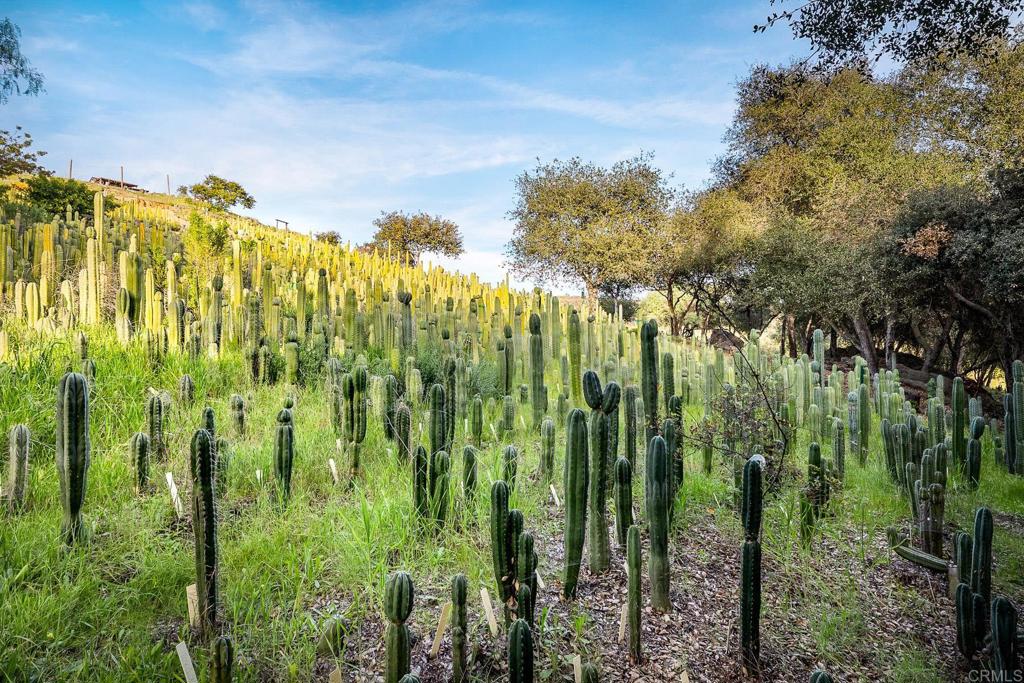 MLS #NDP2602199 image #38