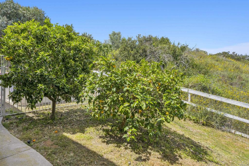 MLS #NDP2602443 image #37