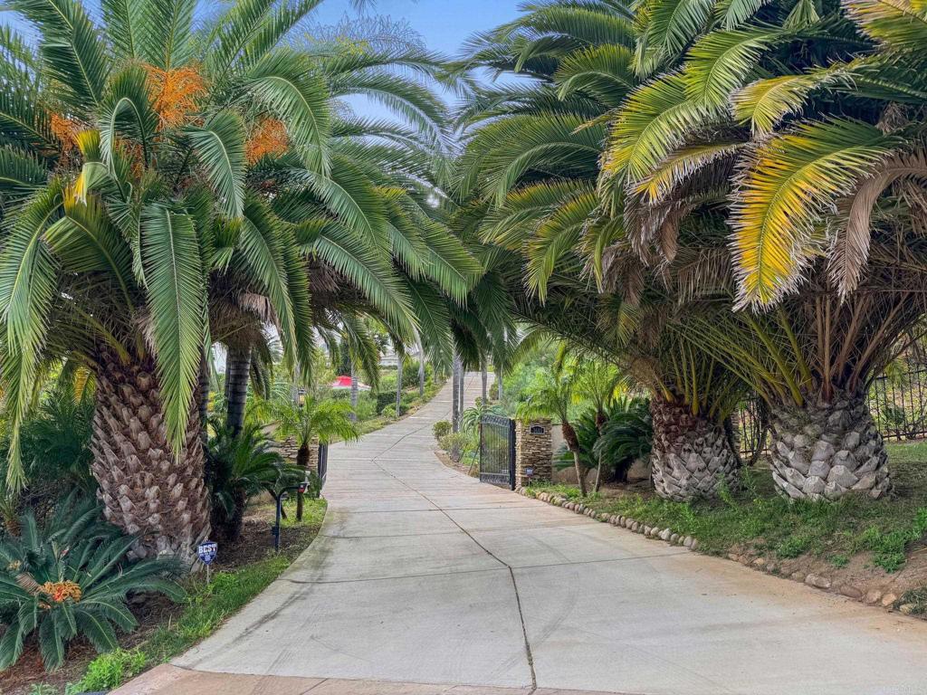 MLS #NDP2603113 image #1