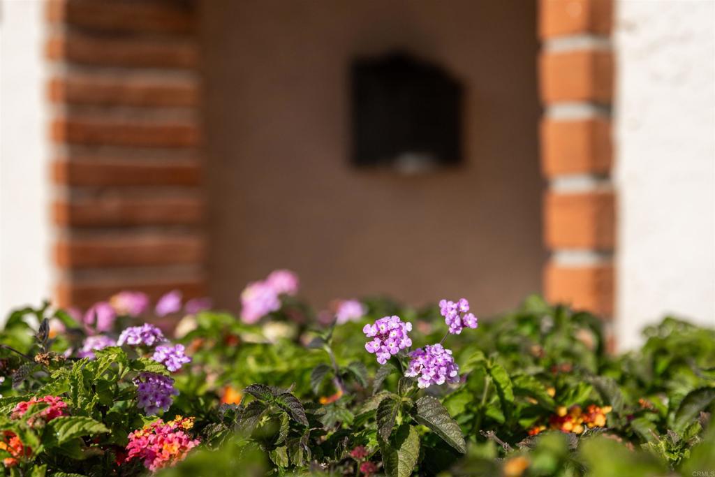 MLS #NDP2603153 image #1