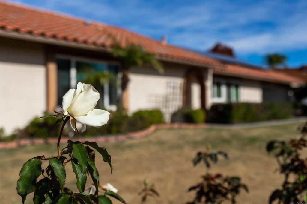 MLS #NDP2603153 image #2