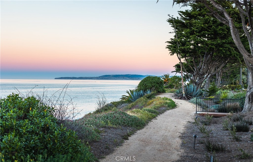 MLS #NP26029243 image #59