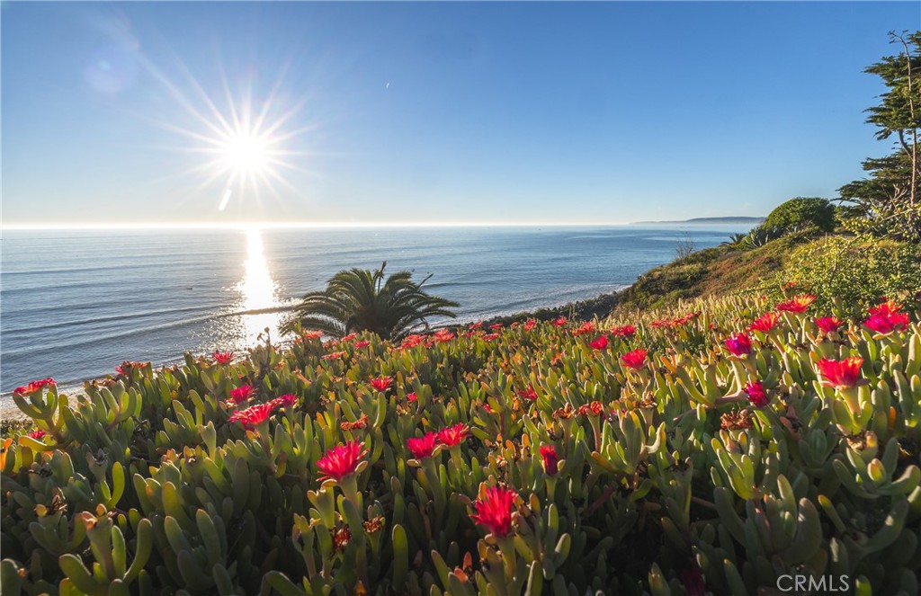 MLS #NP26029243 image #60