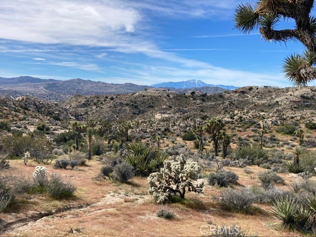 MLS #NP26044405 image #1