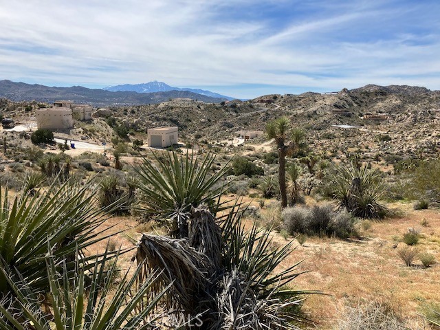 MLS #NP26044405 image #10