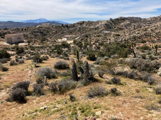 MLS #NP26044405 image #14