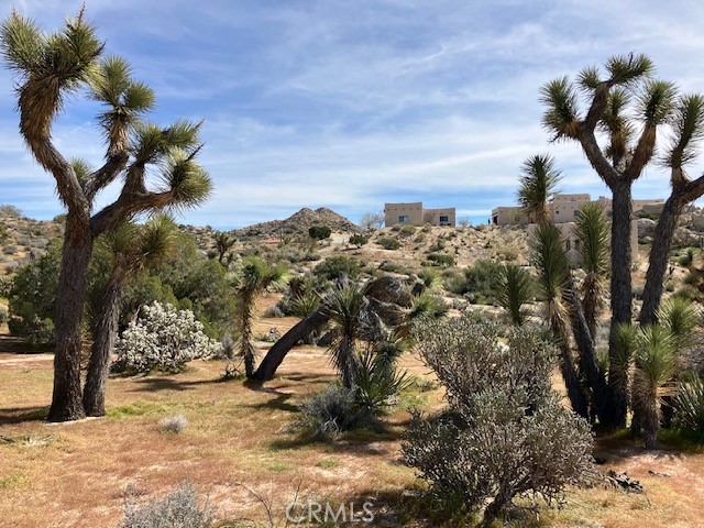 MLS #NP26044405 image #3