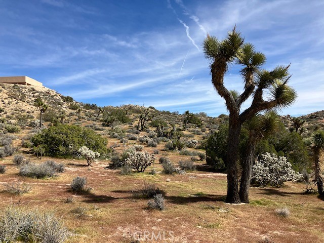 MLS #NP26044405 image #4