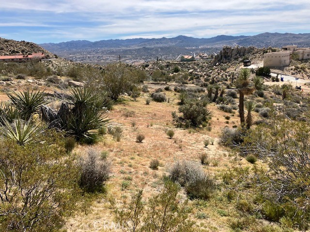 MLS #NP26044405 image #5