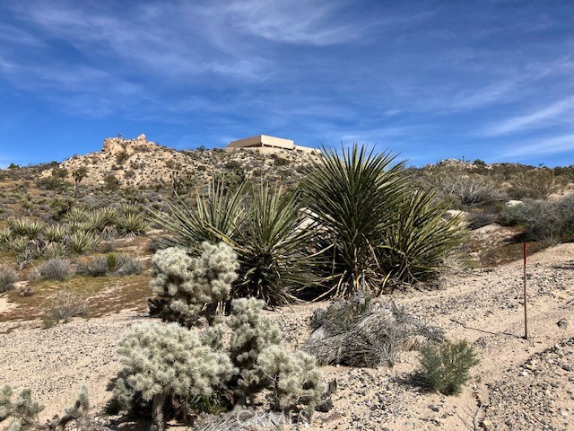 MLS #NP26044405 image #8