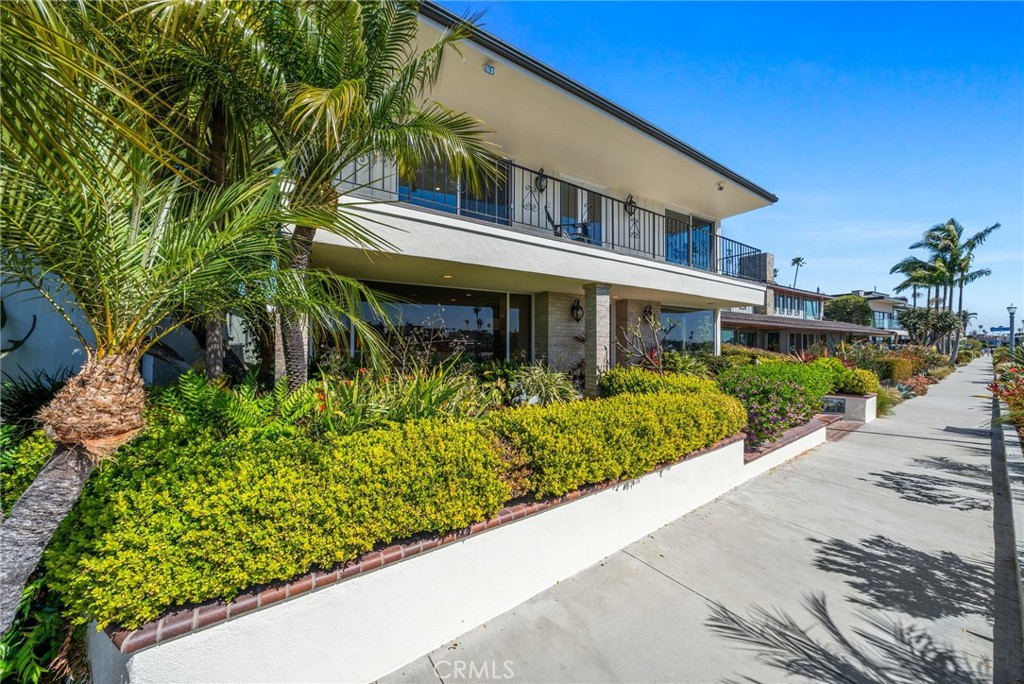 MLS #NP26049591 image #51