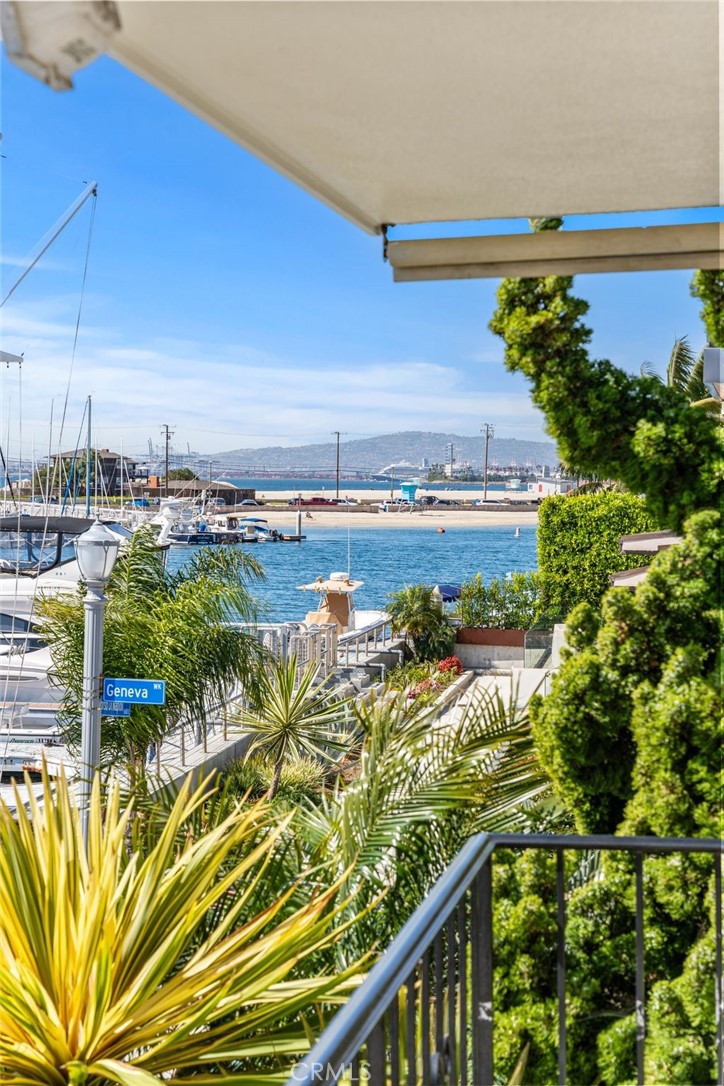 MLS #NP26049591 image #57