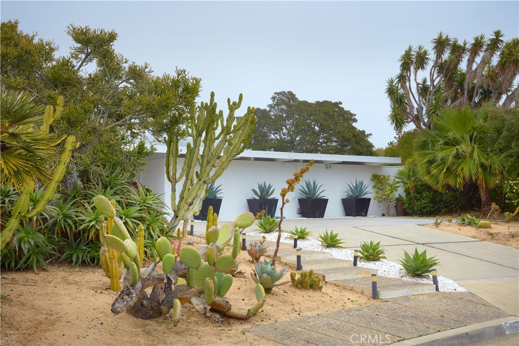 MLS #NP26053308 image #26