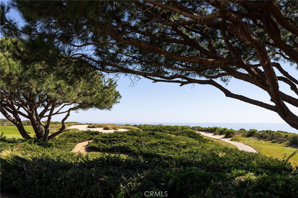 MLS #NP26061190 image #2