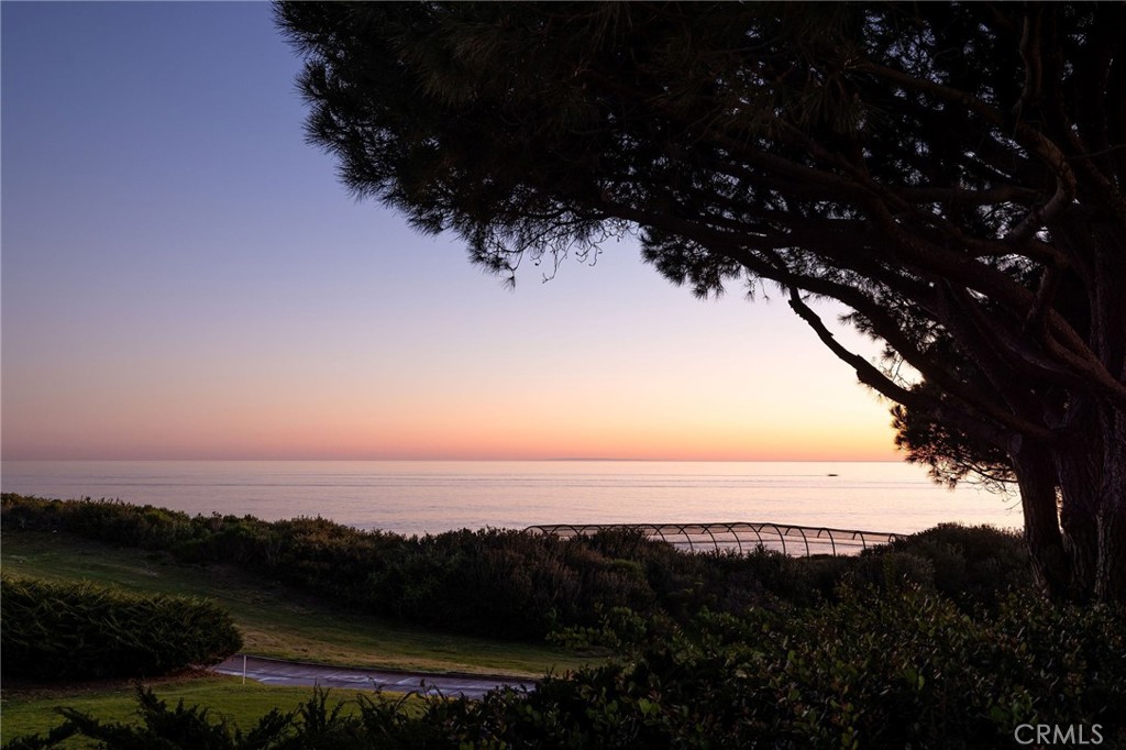 MLS #NP26061190 image #47