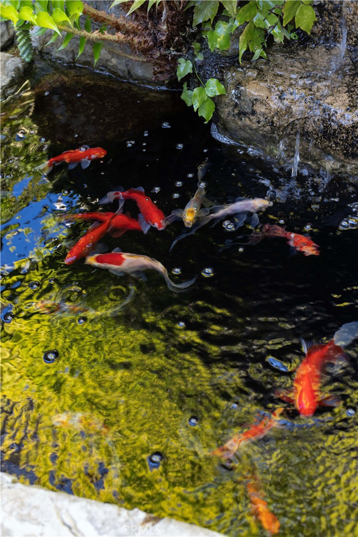 MLS #NP26066470 image #9