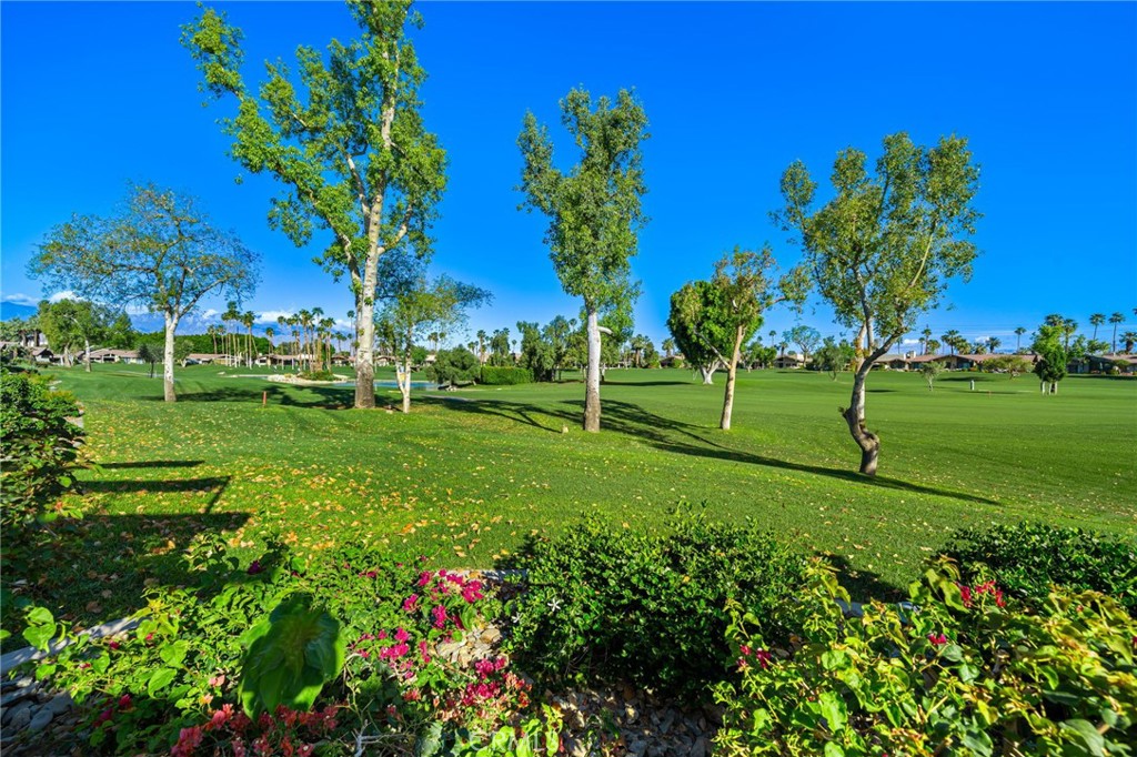 MLS #NP26069495 image #32