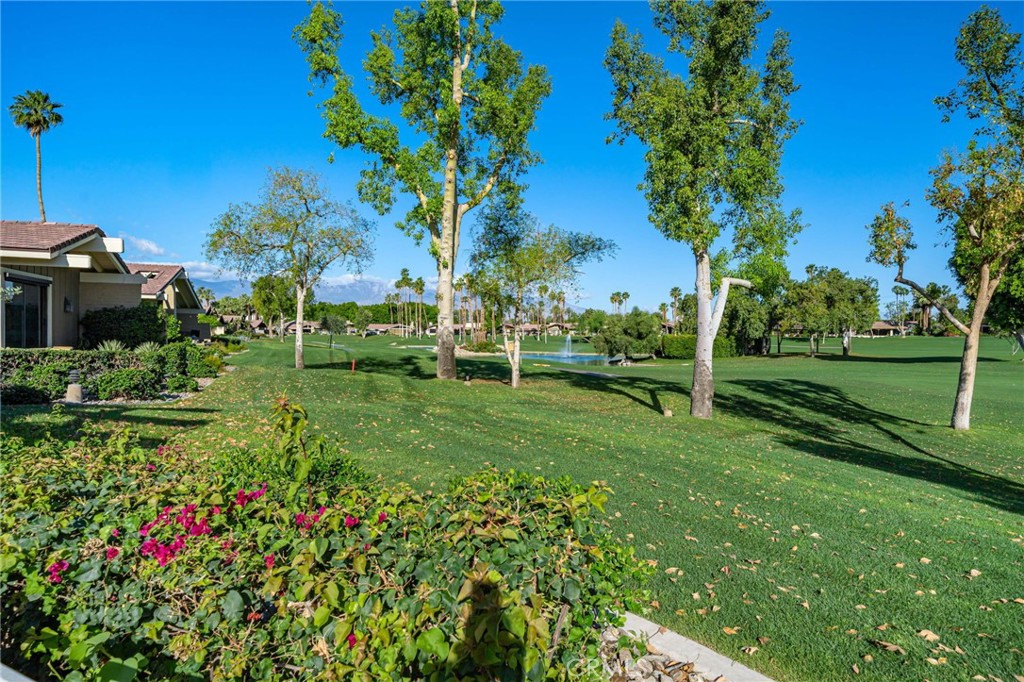 MLS #NP26069495 image #33